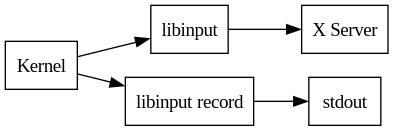 digraph stack
{
  compound=true;
  rankdir="LR";
  node [
    shape="box";
  ]

  kernel [label="Kernel"];

  libinput;
  xserver [label="X Server"];
  record [label="libinput record"];

  kernel -> libinput
  libinput -> xserver

  kernel -> record;
  record -> stdout
}